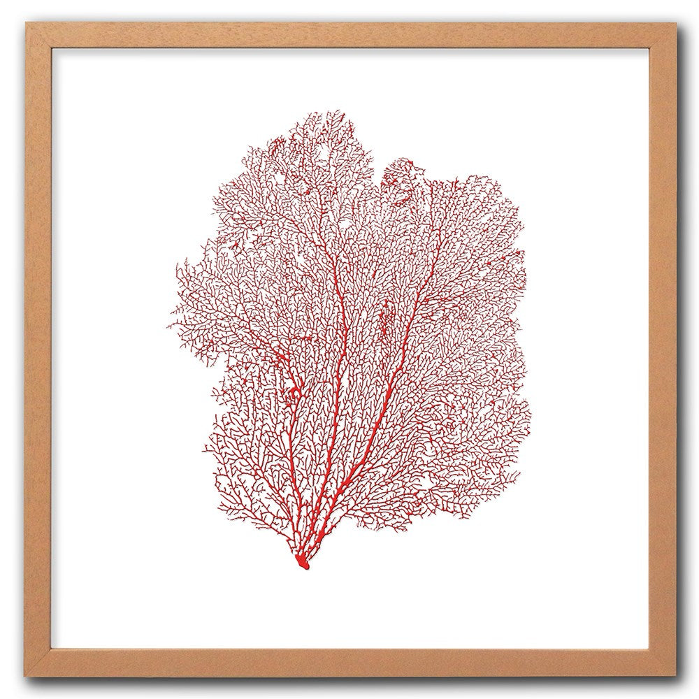Frame limewhite - no mat - red seafan on white