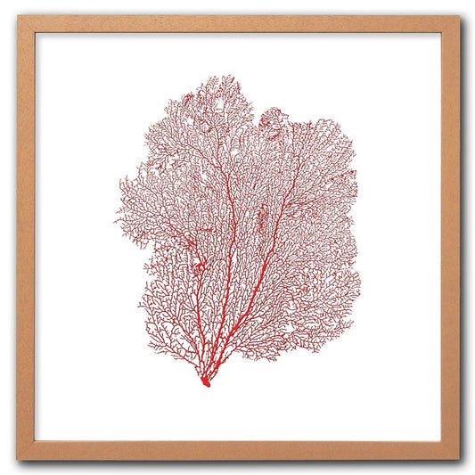 Frame limewhite - no mat - red seafan on white