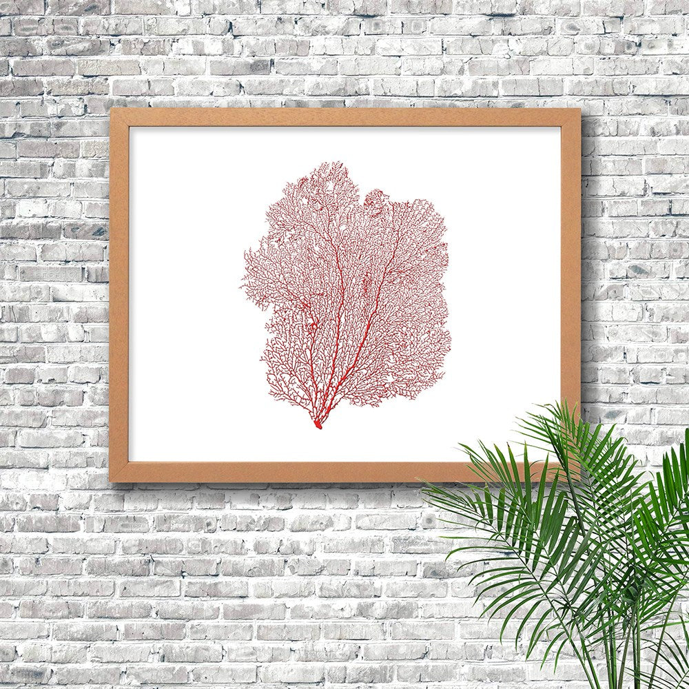 Frame limewhite - no mat - red seafan on white