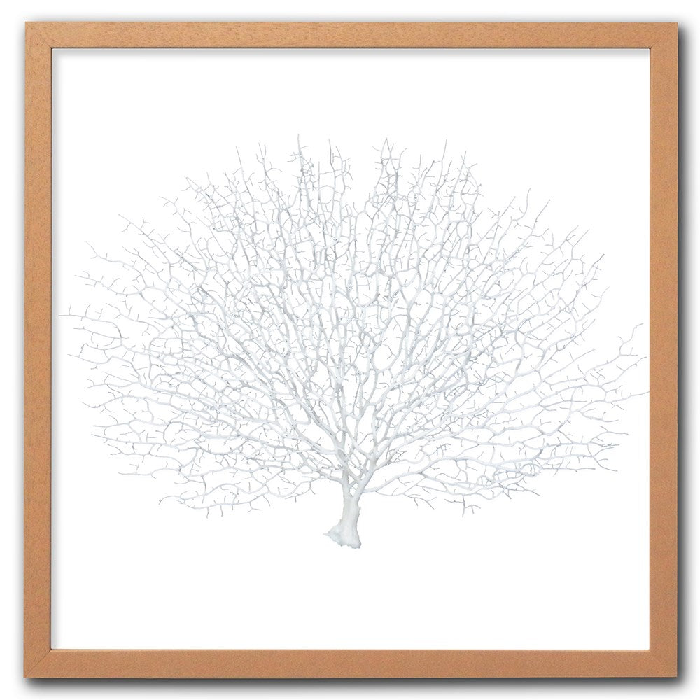 Frame limewhite - no mat - artificial white seafan on white