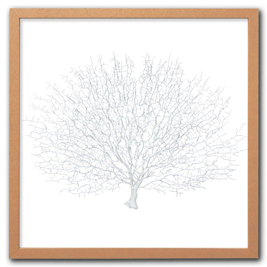 Frame limewhite - no mat - artificial white seafan on white