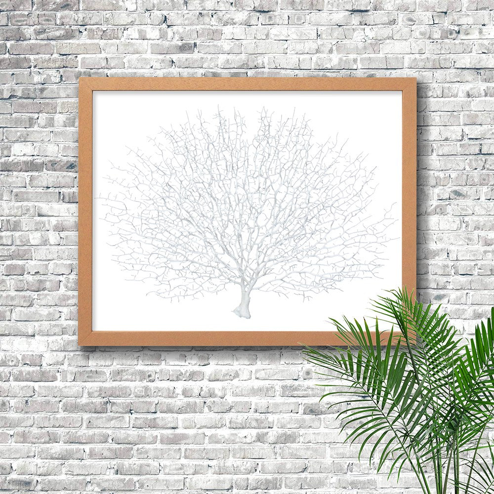 Frame limewhite - no mat - artificial white seafan on white