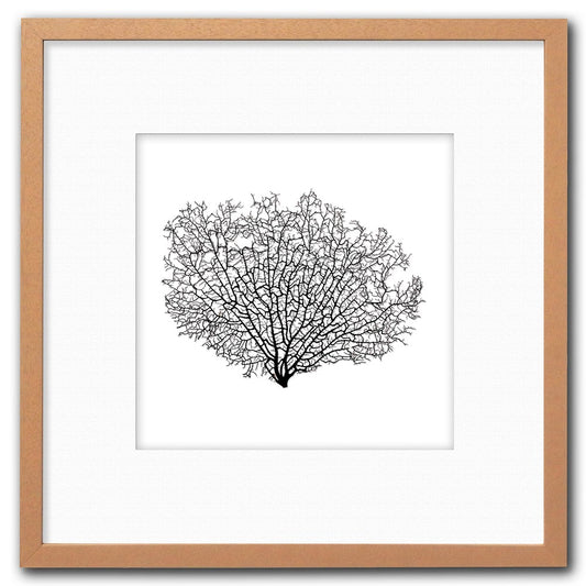 Frame limewhite - white mat - black seafan on white