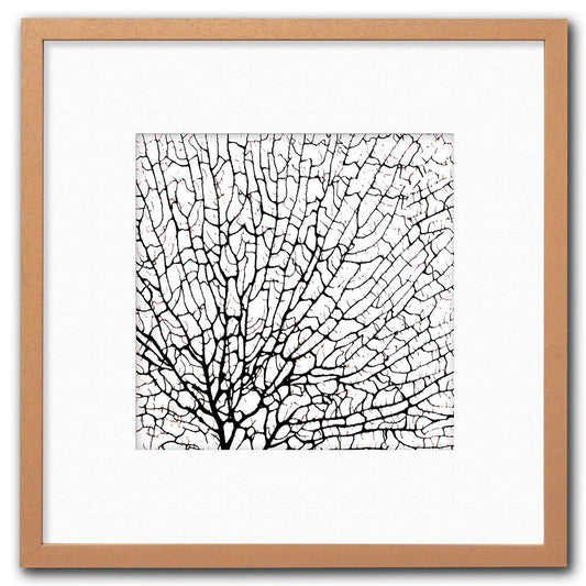 Frame limewhite - white mat - black seafan on white filled