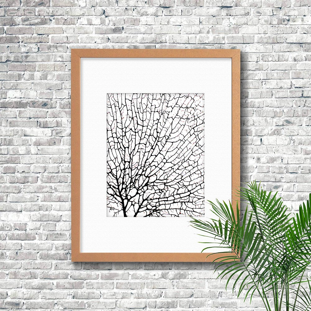 Frame limewhite - white mat - black seafan on white filled