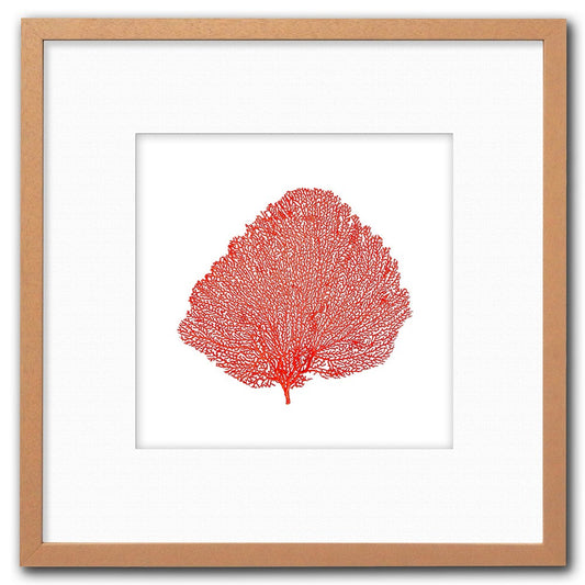 Frame limewhite - white mat - red seafan on white