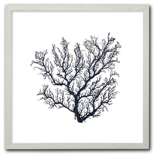 Frame white - no mat - thick black seafan on white