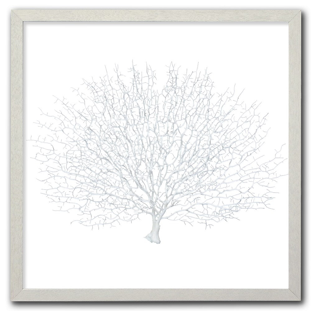 Frame white - no mat - artificial white seafan on white