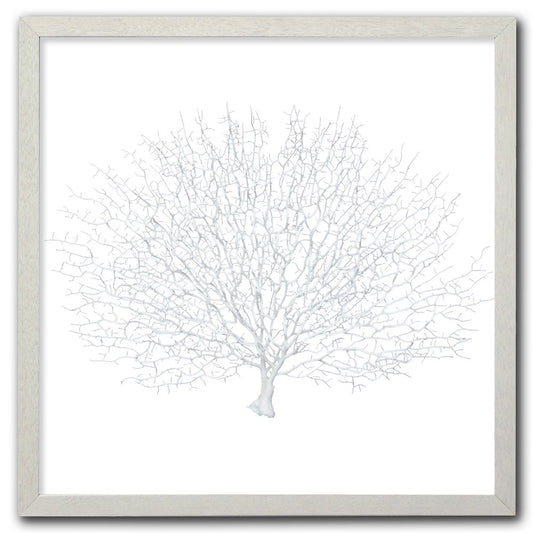 Frame white - no mat - artificial white seafan on white