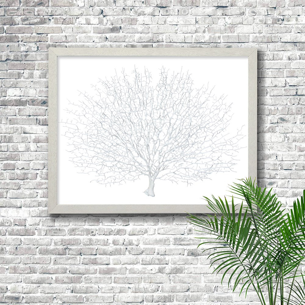 Frame white - no mat - artificial white seafan on white