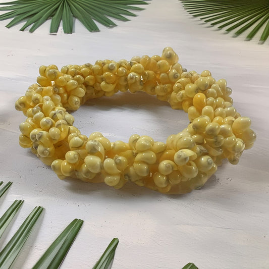 Shell bangle stretch small shells polished yellow