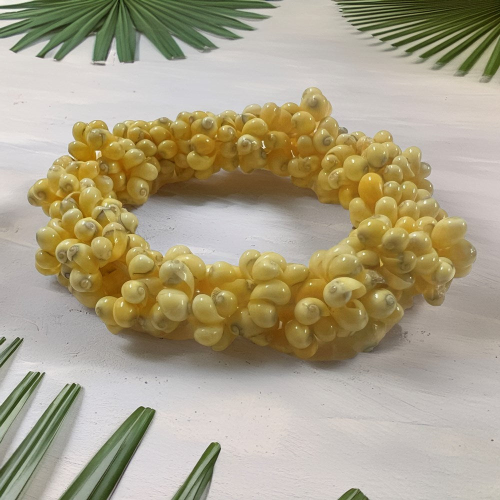 Shell bangle stretch small shells polished yellow