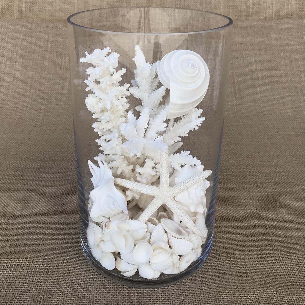 Glass coral and shell pack white, with mirror safety top suitable for candle