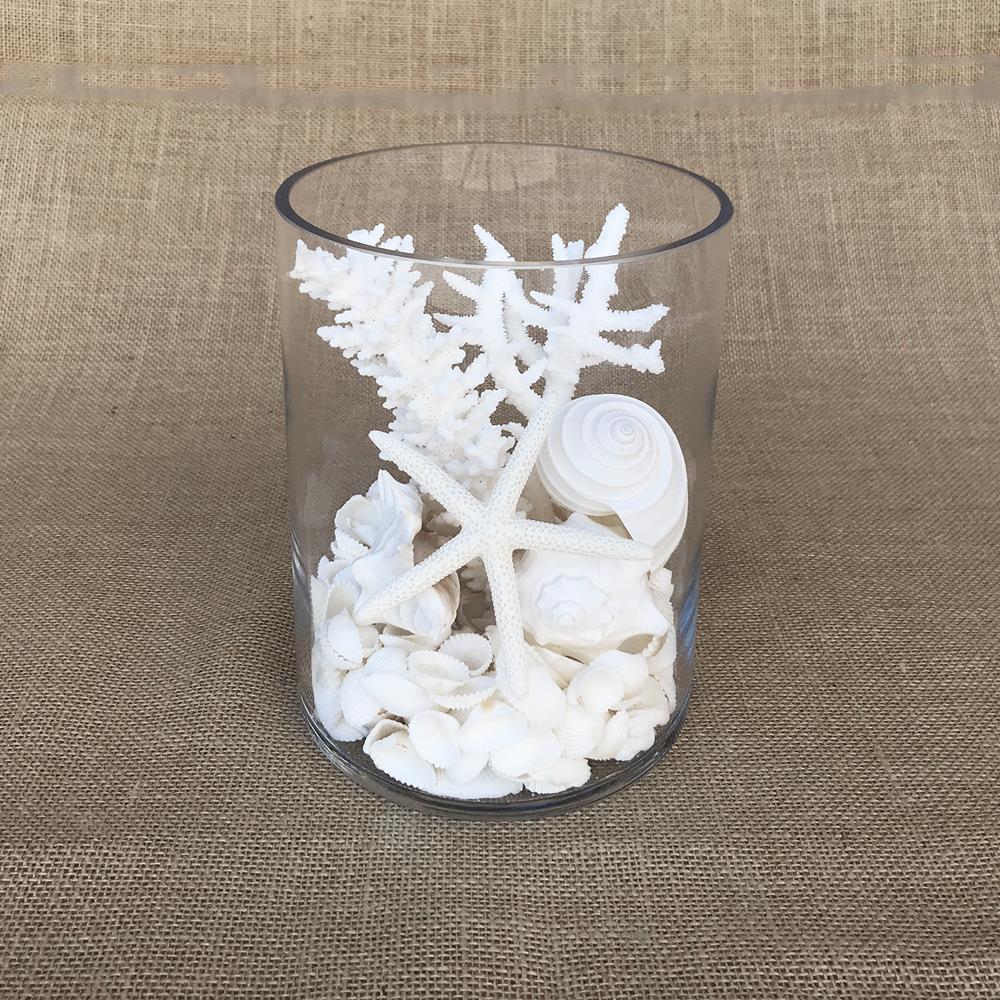 Glass coral and shell pack white, with mirror safety top suitable for candle
