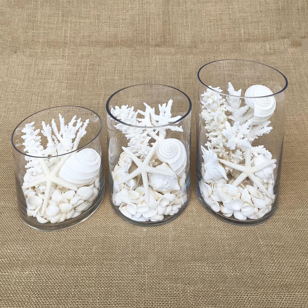 Glass coral and shell pack white, with mirror safety top suitable for candle