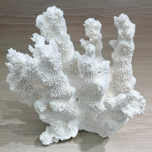 Coral - Signature range (25-30cm)