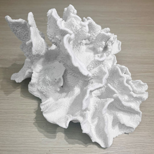 Coral - Signature range (30-35cm)