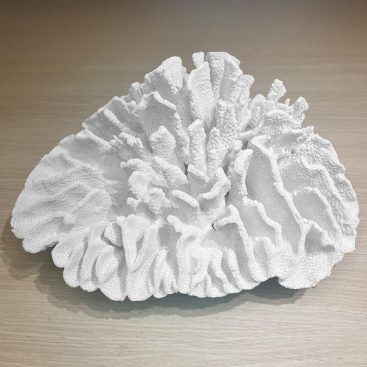 Coral - Signature range (35-40cm)