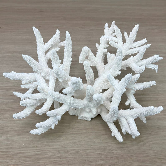 Coral - Signature range (50-55cm)