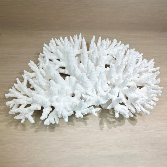 Coral - Signature range (65-70cm)