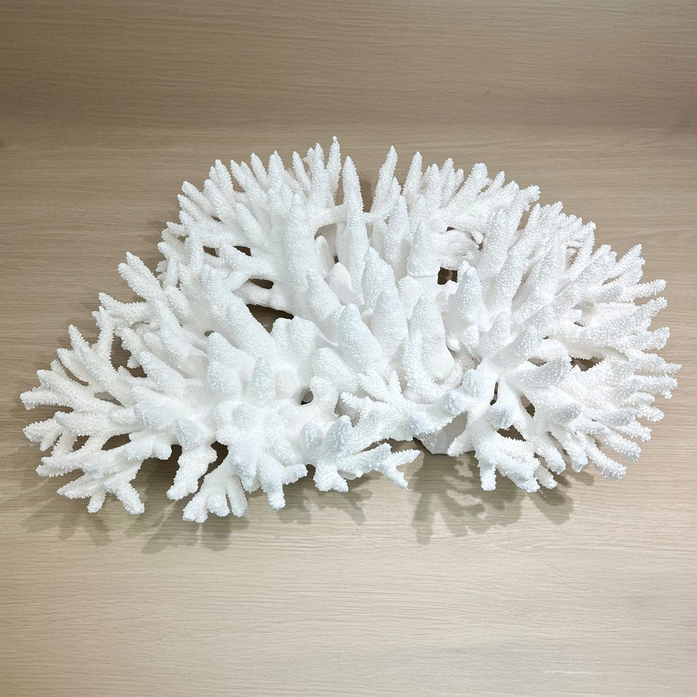 Coral - Signature range (65-70cm)