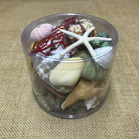 Coral cylinder - Beach Box