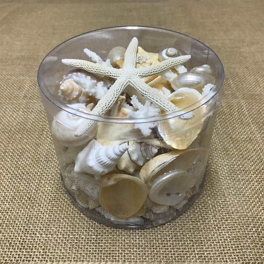 Coral cylinder - Cream and white