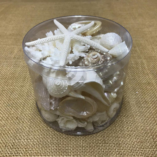 Coral cylinder - White and pearl