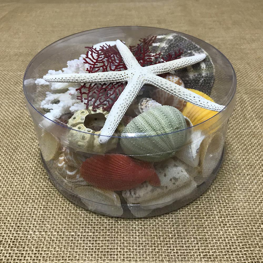 Coral cylinder - Beach Box