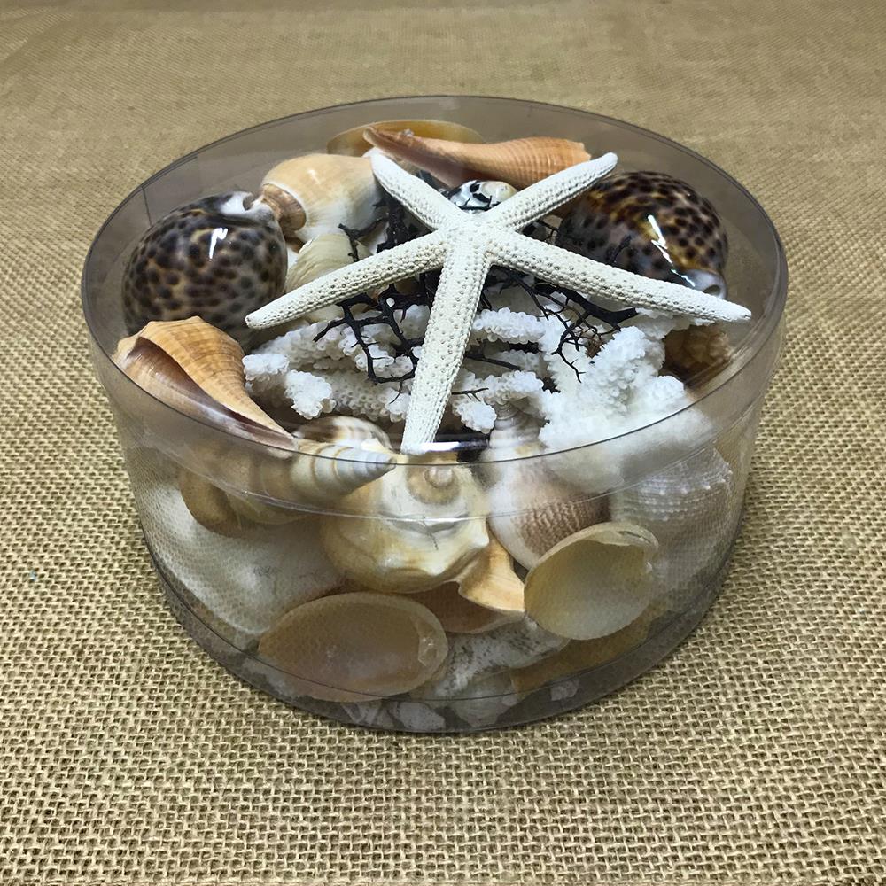 Coral cylinder - Black, tan, cream and white
