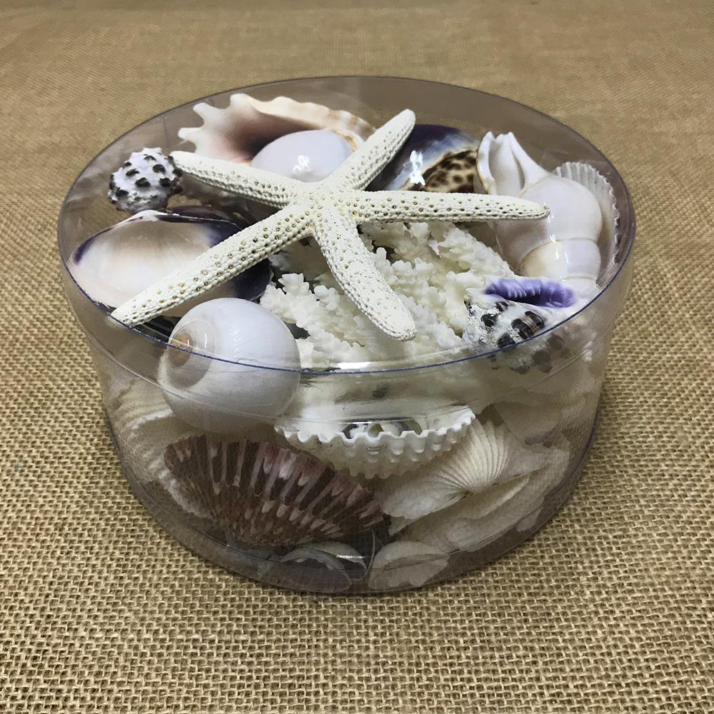 Coral cylinder - Purple and white