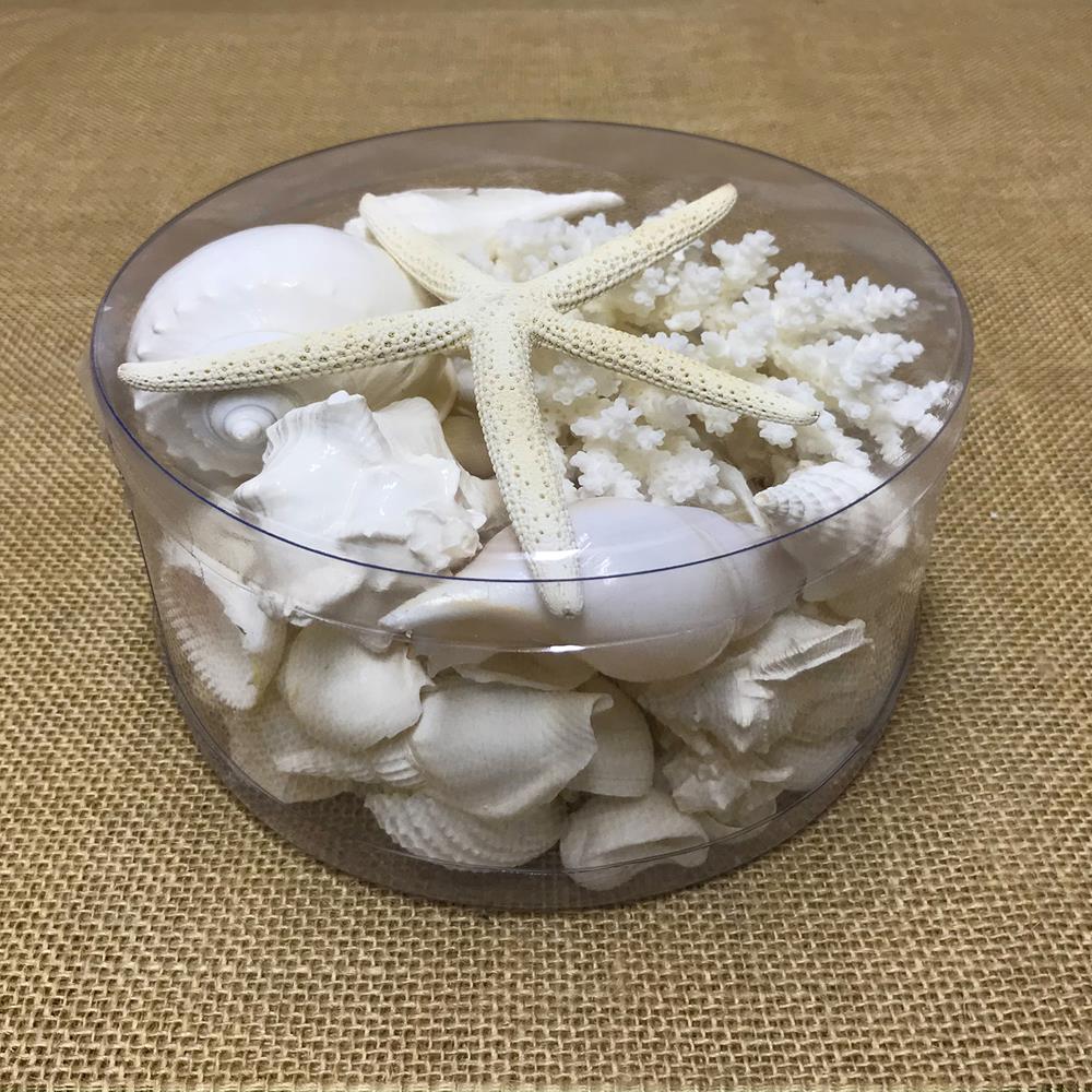 Coral cylinder - White