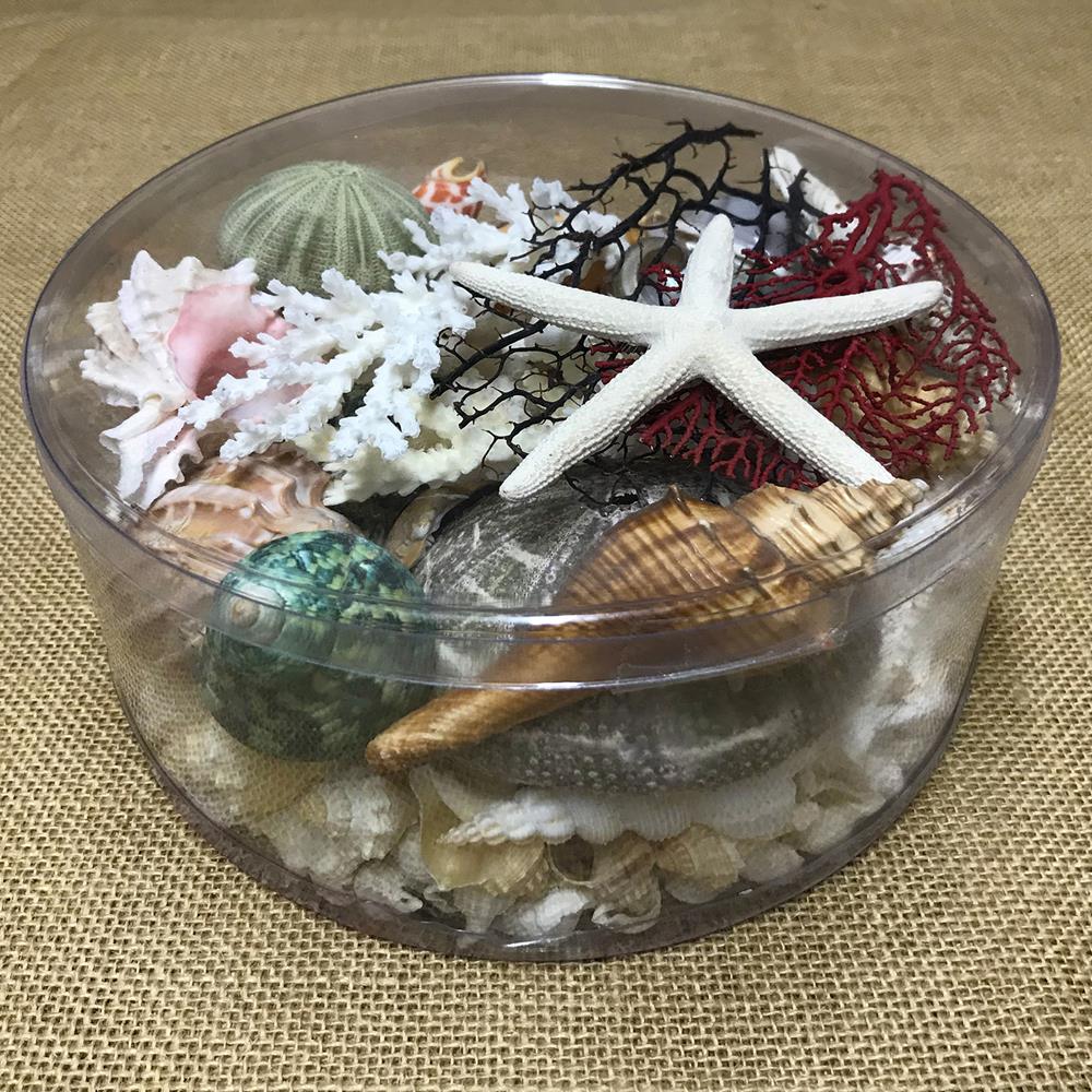 Coral cylinder - Beach Box