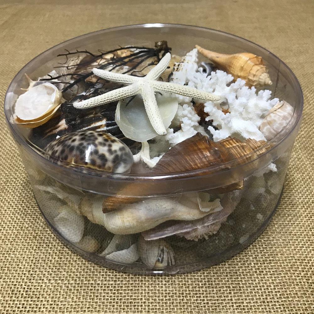 Coral cylinder - Black, tan, cream and white