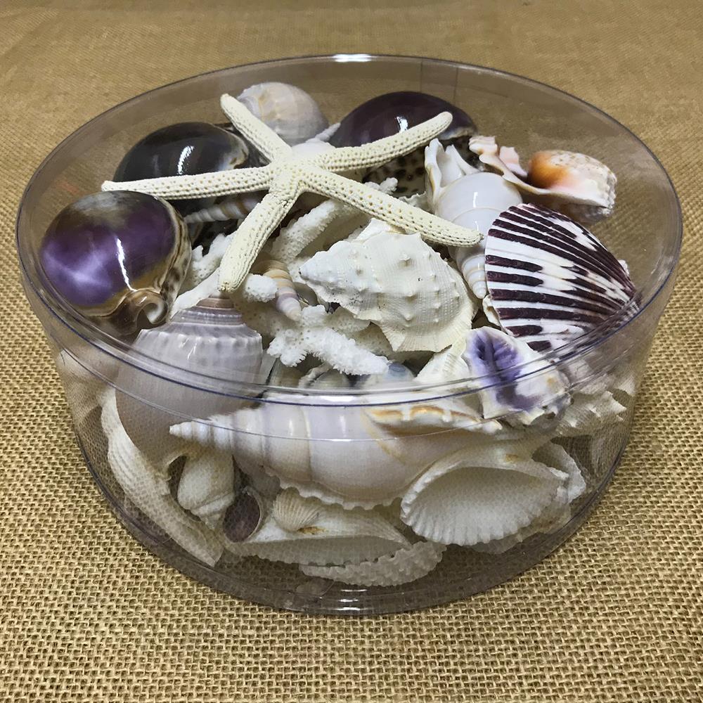 Coral cylinder - Purple and white