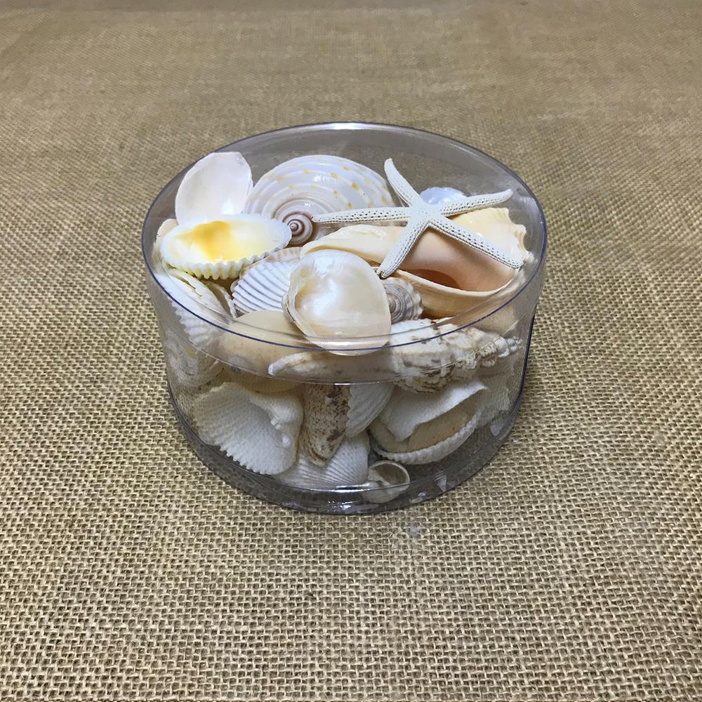 Shell cylinder - Cream and white