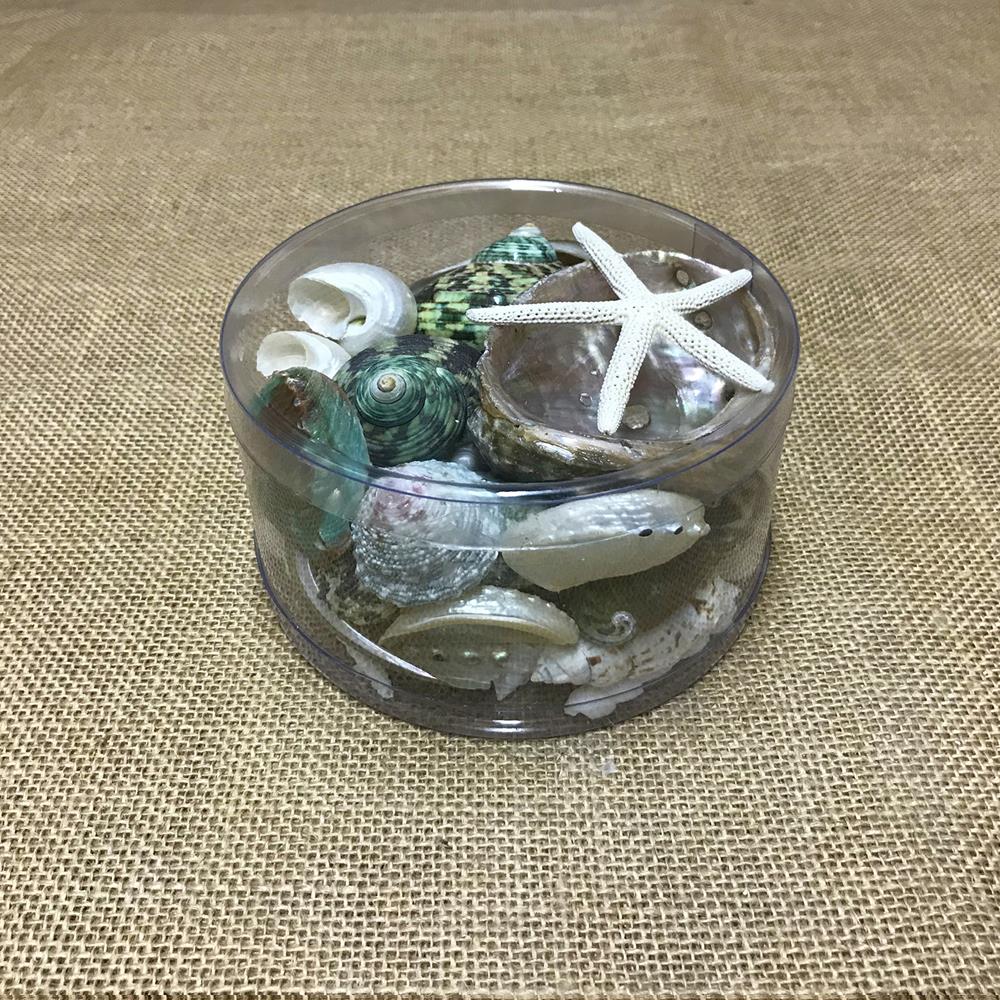 Shell cylinder - green, white and pearl