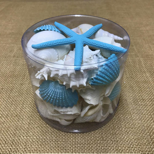 Shell cylinder - Aqua and white