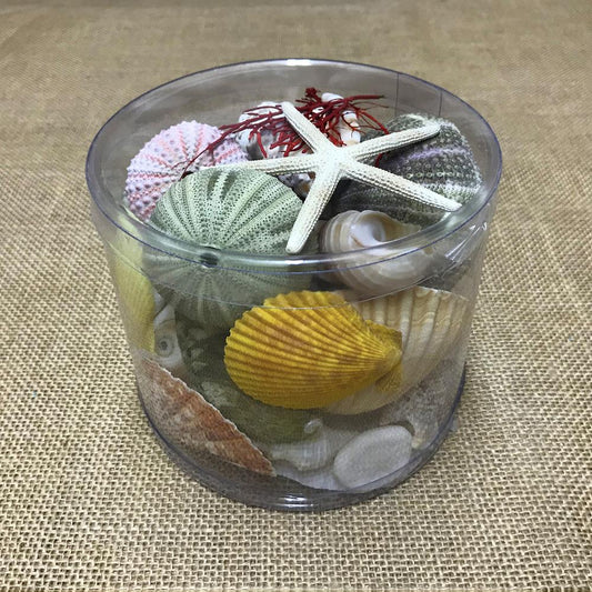 Shell cylinder - Beach Box