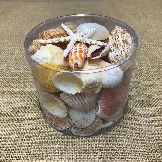 Shell cylinder - Cream, orange, peach and tan
