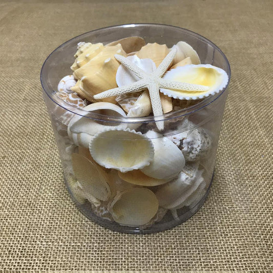 Shell cylinder - Cream and white