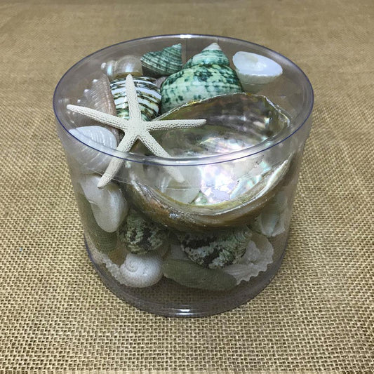 Shell cylinder - green, white and pearl