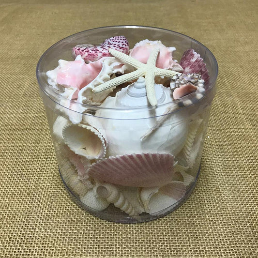 Shell cylinder - Pink and white