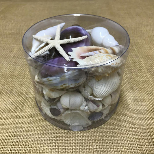 Shell cylinder - Purple and white