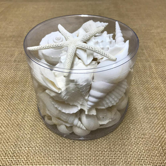 Shell cylinder - White