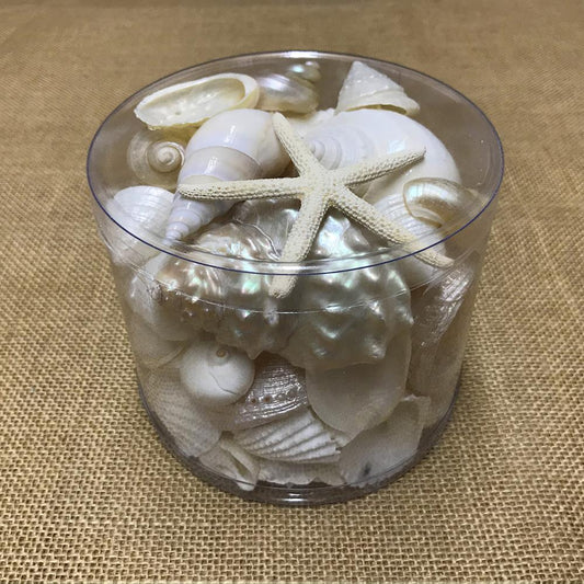 Shell cylinder - White and pearl