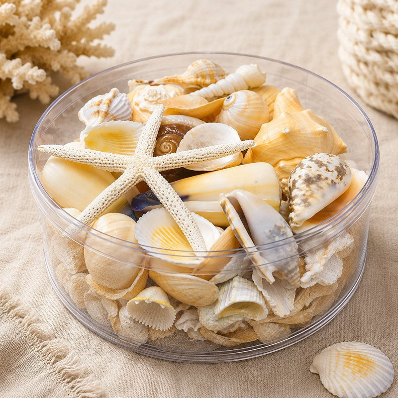 Shell cylinder - Cream and white