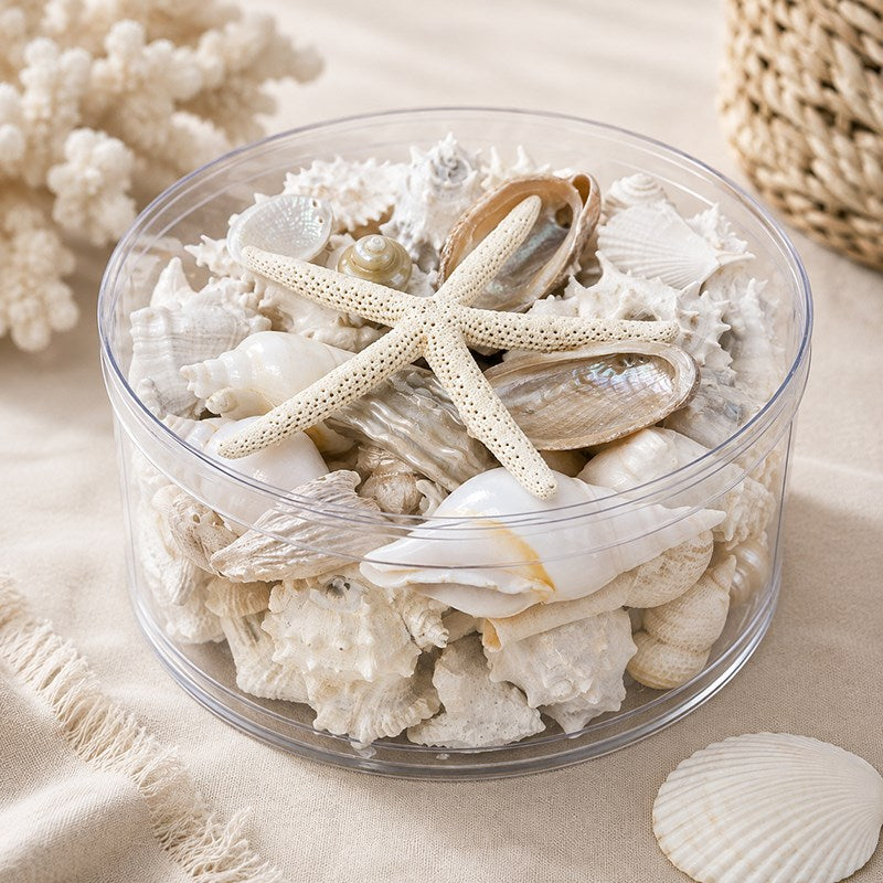 Shell cylinder - White and pearl