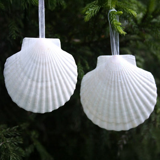 Decoration glitter shell Scallop white