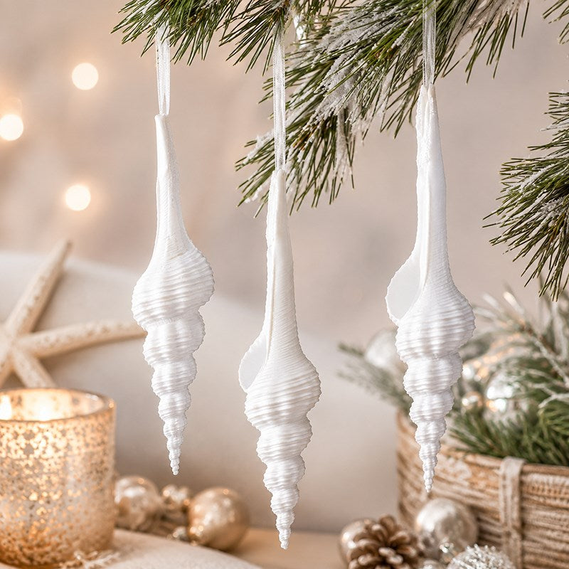 Decoration natural shell Fusinus colus